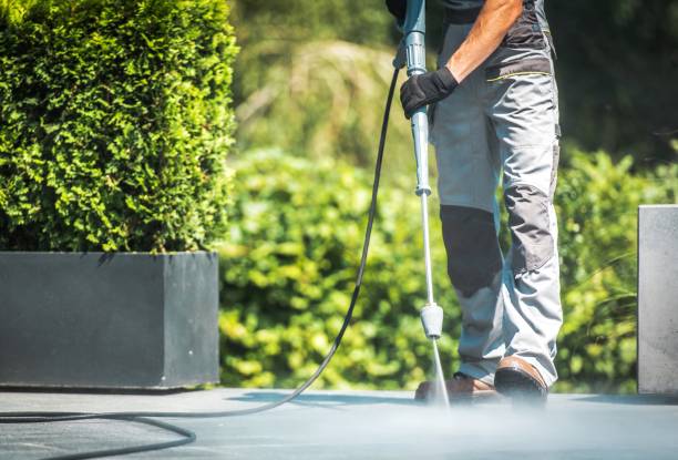 Best Solar Panel Cleaning  in Shark River Hills, NJ