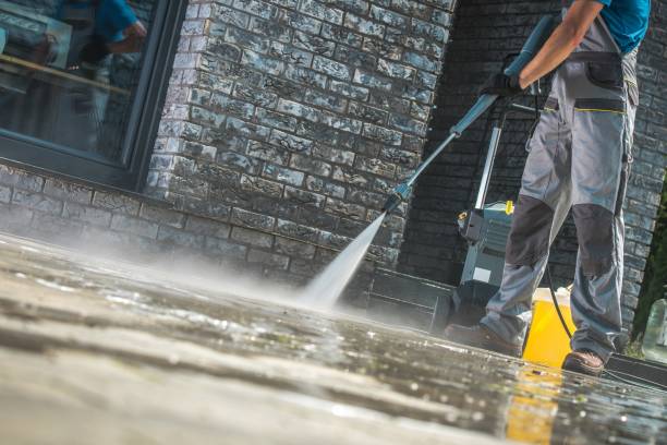 Best Soft Washing  in Shark River Hills, NJ