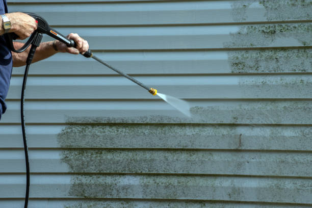 Best Gutter Cleaning  in Shark River Hills, NJ