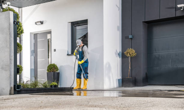 Best Graffiti Removal  in Shark River Hills, NJ